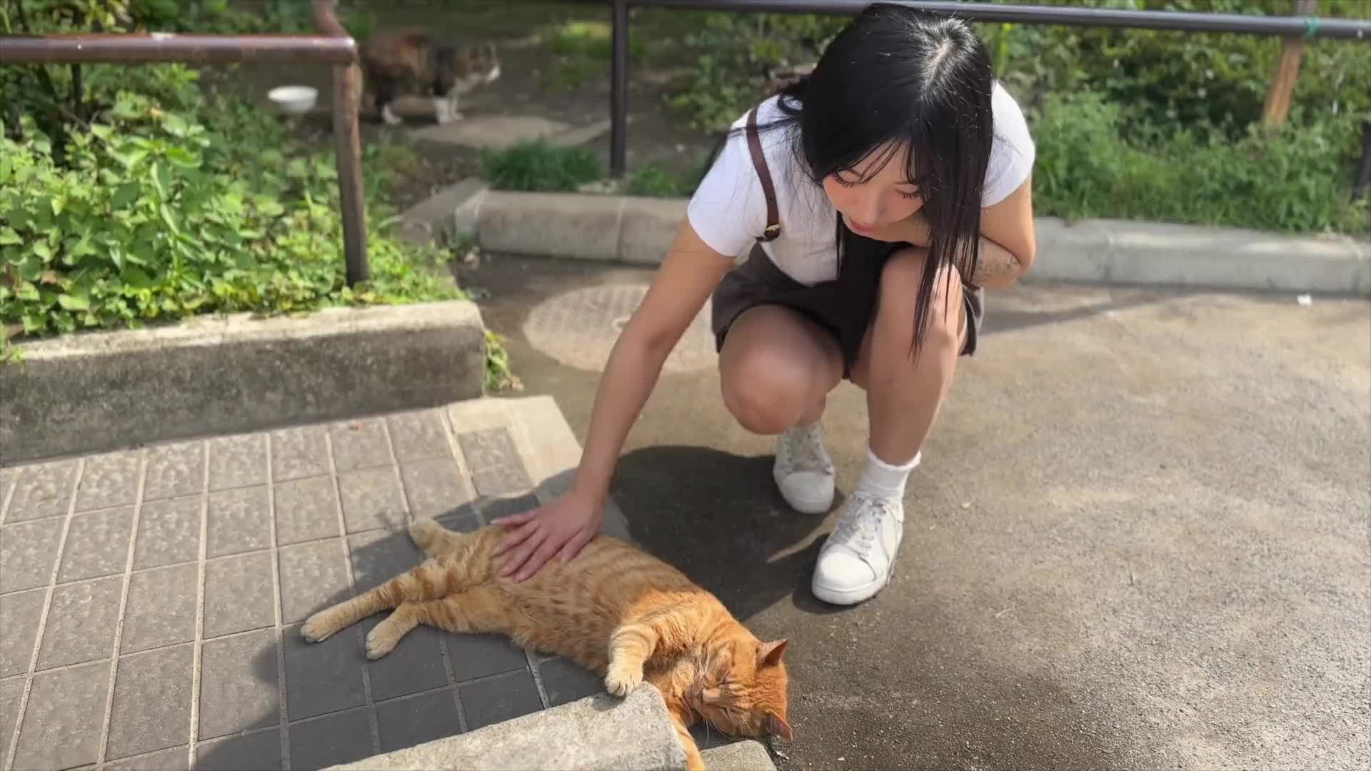 #Elle_Lee #反差 #韩国 #媚黑