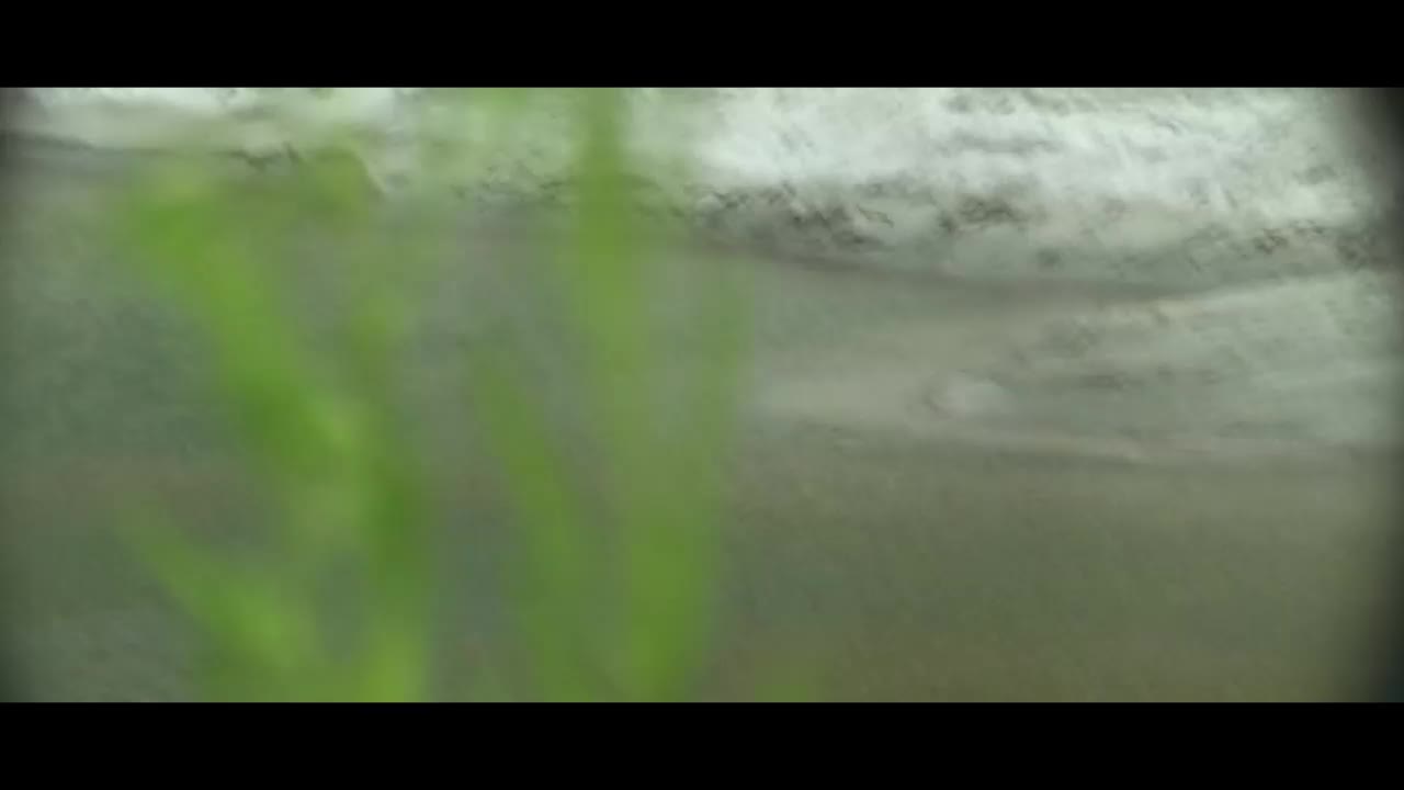 【欧美天体海滩系列】偷拍小情侣在公共海滩野战啪啪，战况激烈，天然自然，超清画质 #偷拍 #欧美 #情侣