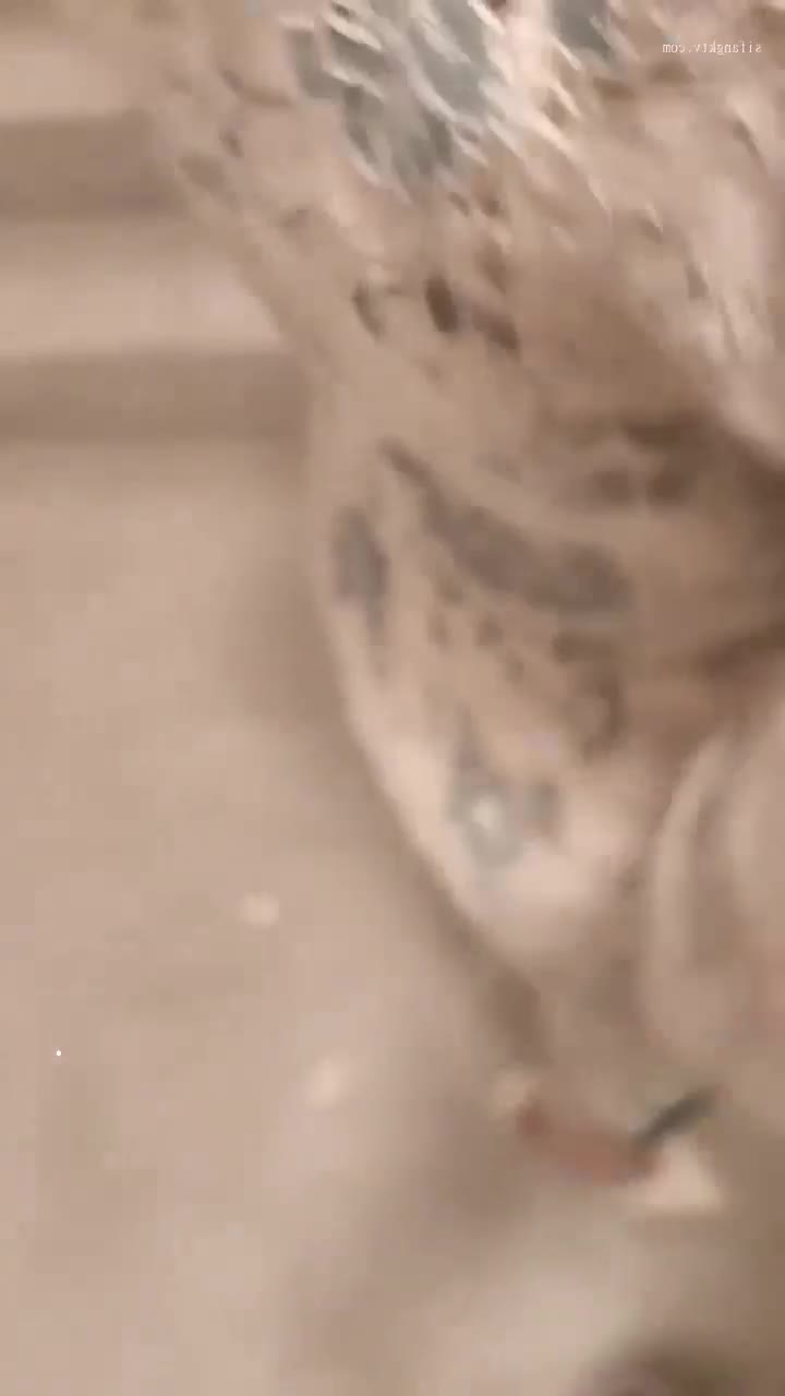 福州女老师楼道偷情，光头主任操穴，眼镜婊刺激爽到射！ #熟女乱伦