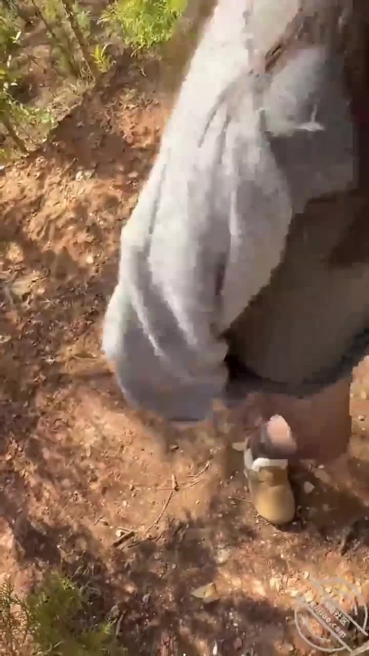 翘臀妹妹户外操，黑丝车内树前干，紧张内射爽到三次！ #熟女乱伦点击观看内部稀有视频