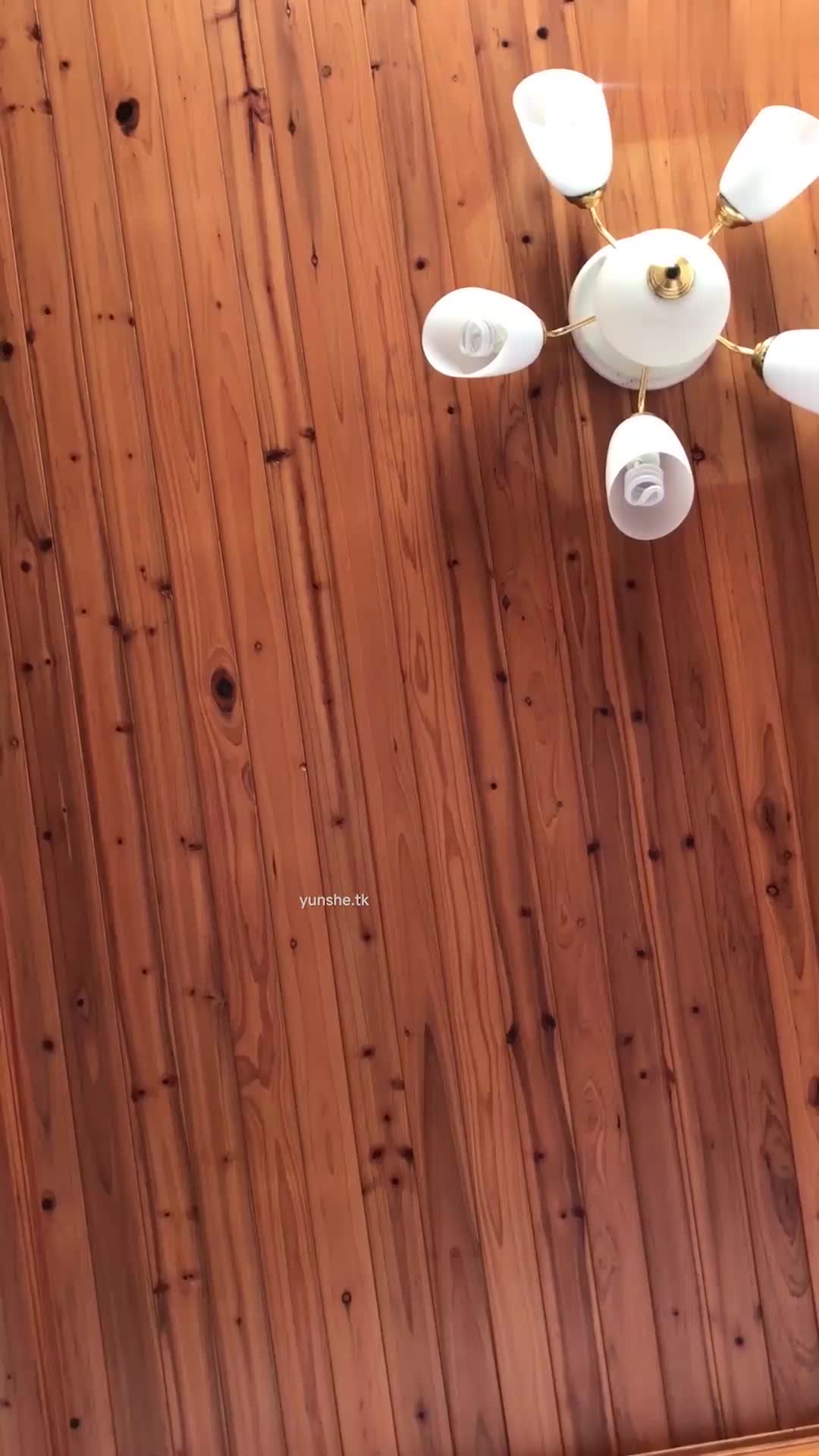 室友趁我不在带女炮友回宿舍操逼