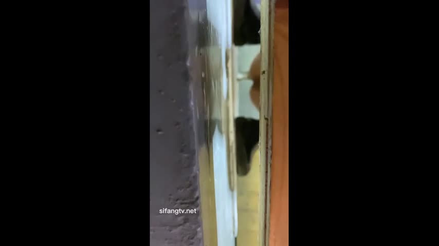 高颜值学校厕拍和公园偷拍合辑系列