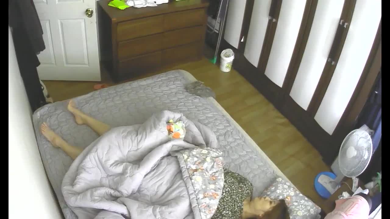 家庭摄像头 寂寞少妇性欲极强每天都要自慰㊙️眼镜学生妹边看片边自慰不停的揉搓骚B点此查看更多