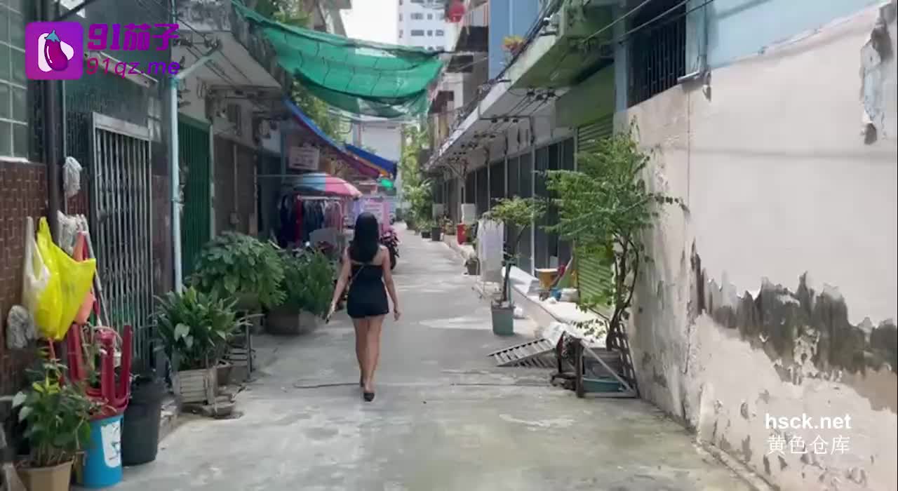 27998️️点点关注不迷路-【金牌中转站】️️
