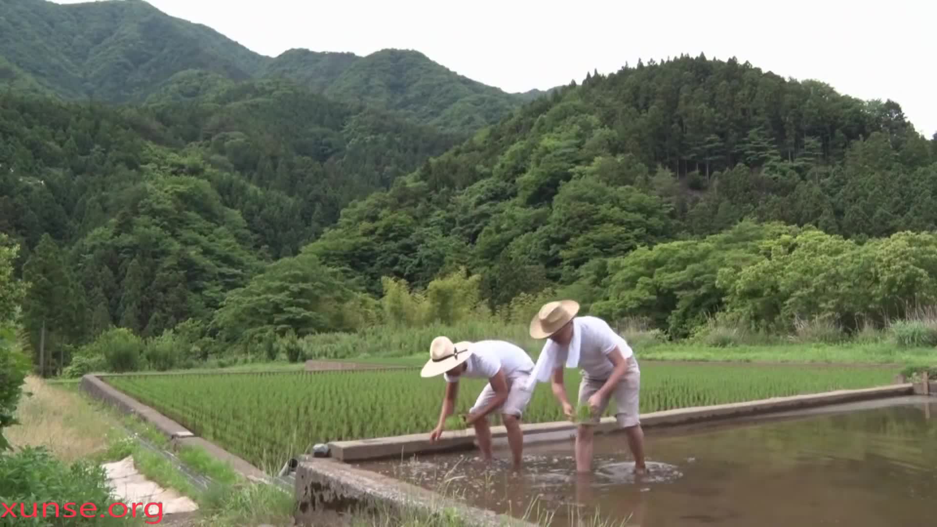 破解无码】JUX-727 農家の嫁 織田真子