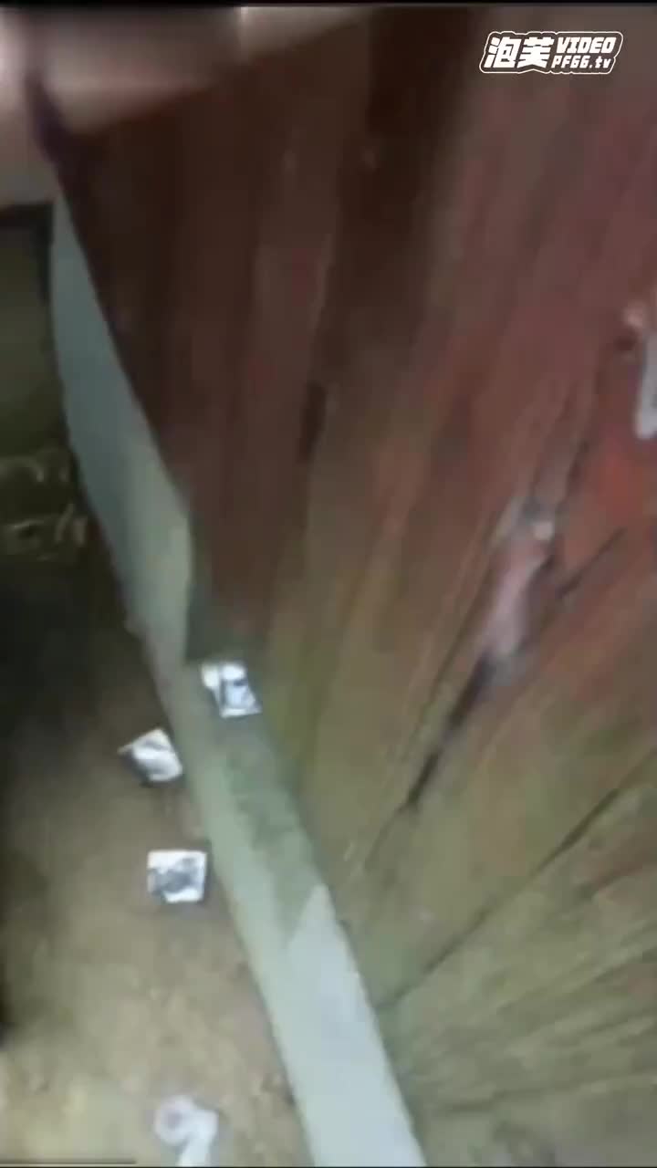 【不能说的秘密】全网热搜（校妓-学校后院遍地避孕套）只能查到图片的原视频首发！附强上亲妹+潮红学妹全网搜索