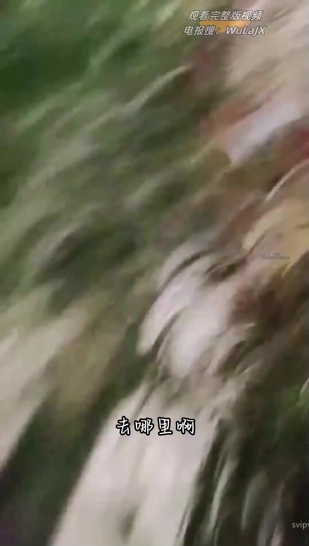 #巨乳 #勾引 #户外大奶子主播深夜户外直播勾引路人小伙，我逼痒 快操我 52部视频合集已更新