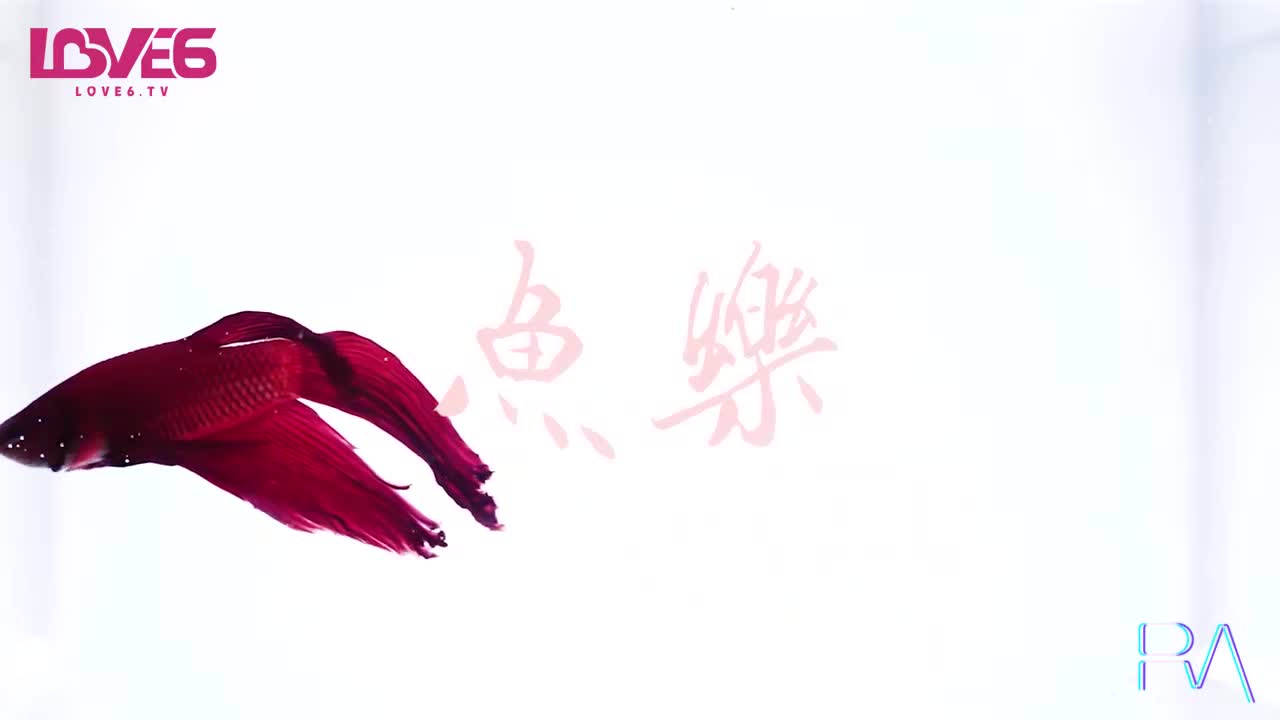 #巨乳 #口交 #后入 #中出 #舔逼金鱼的报恩 情人节限定宠物女友
