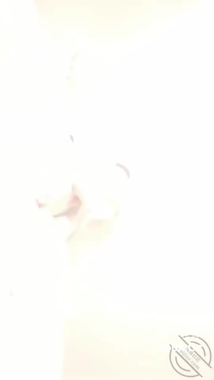 标题: 海角社区
