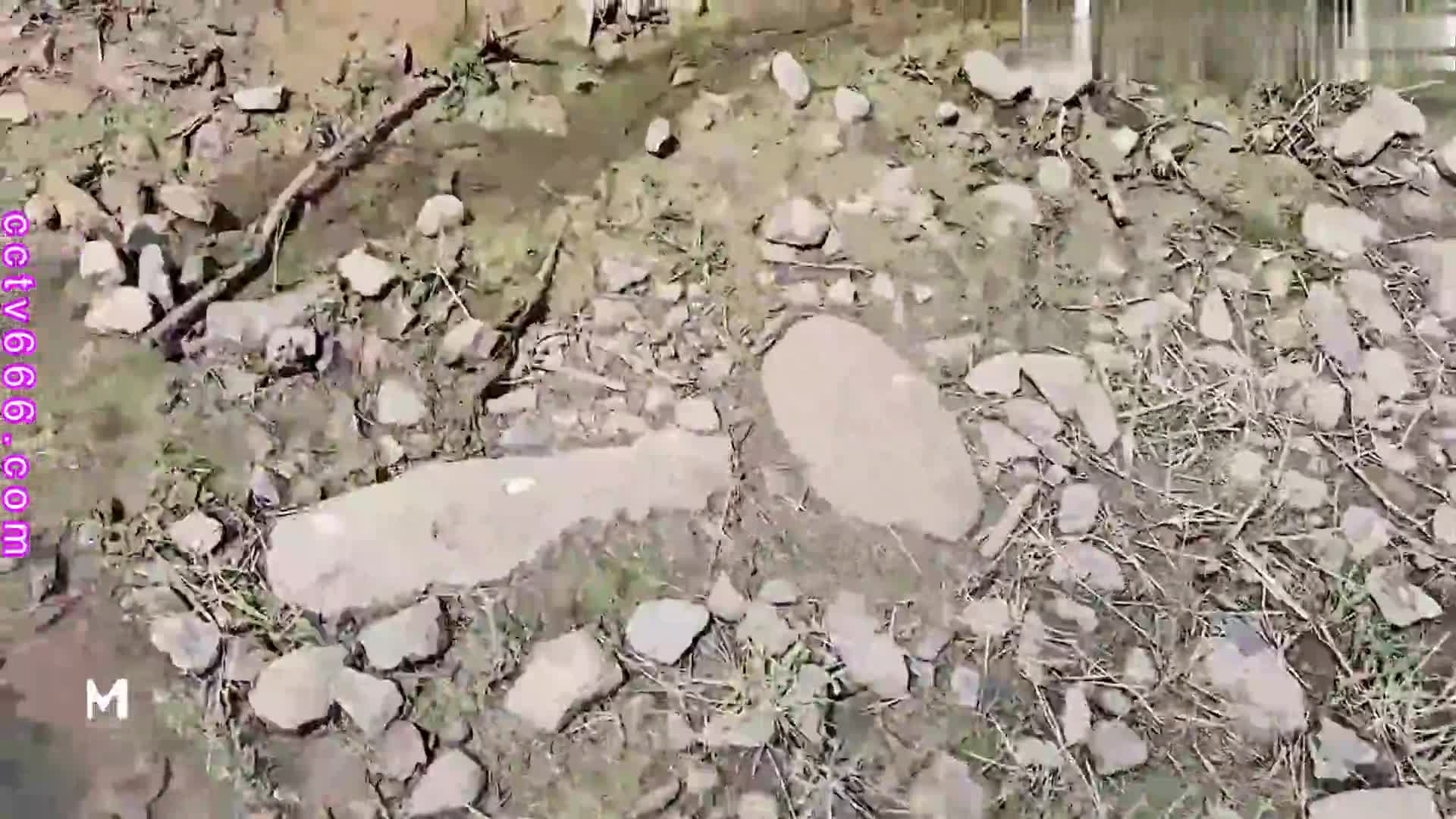 标题: 光天化日刺激寻欢.周末带着妹妹去公园散步