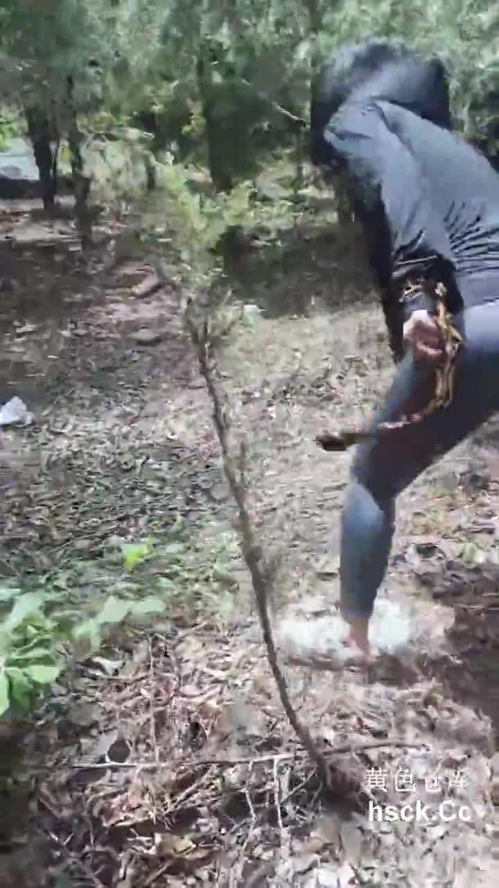 标题: 海角社区