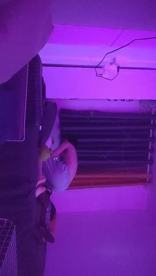 约操良家小姑娘，豹纹内裤吊带黑丝，拨开内裤就插探花偷拍专区点此查看更多