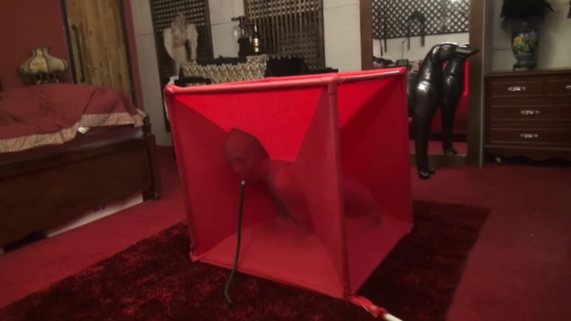 #禅狱 #西贡女 #捆绑 #调教 #束缚 #绳艺 #圈养 #BDSM