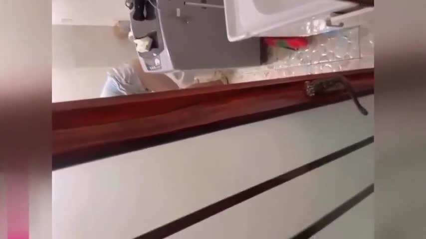 #捡尸 灌醉迷玩美女邻居----------------------------------------️更多精彩️防失联️