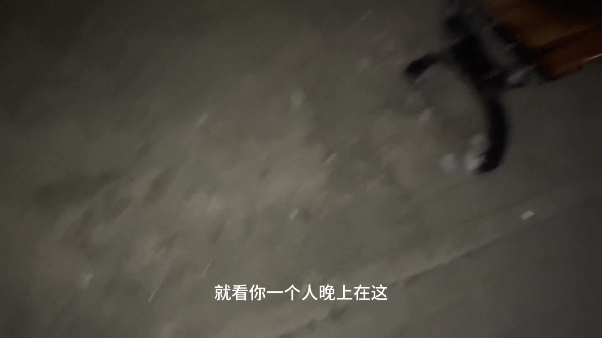#剧情 #喷水 #口交 #熊猫宝贝   【#万人求系列】新晋网红【熊猫宝贝】，来自P站的一个19岁少女。出道即巅峰的京妹，m属性极强，异常热爱调教，对白极其引人入目，有种身临其境的感觉，口交之后的口爆，拍摄手法非常不错，有第一人称和第三视觉切换，自慰喷水 三洞开发，以及各种户外 室内剧情角色扮演，非常牛逼。ps：这个妹子片段此前流传于各大电报群，这次把她的合集给找到了，太强了，每部15min以上。 更多 #万人求系列 可点击标签！