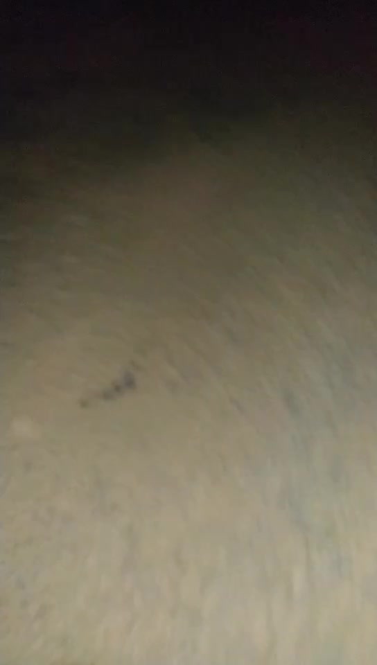 #三飞夜生活 05-15深夜野外做爱