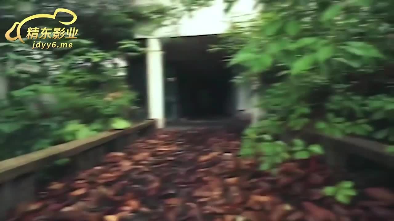 更多福利看片频道