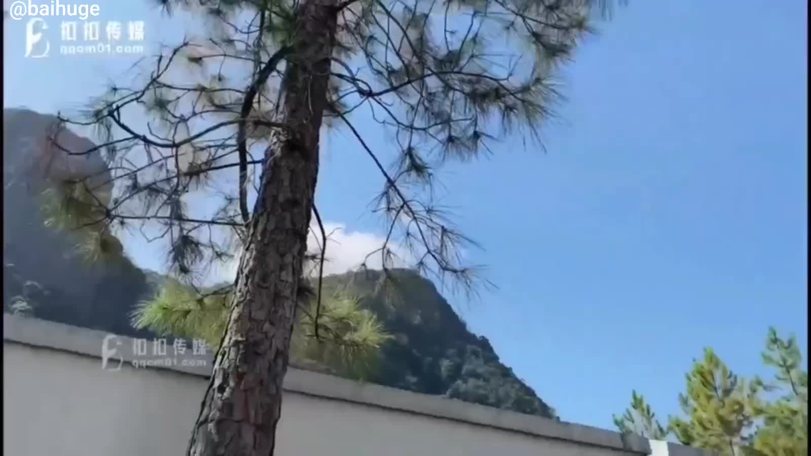 【粉色情人】极品蜜桃臀白虎萝莉天花板，阳光花园户外草地打炮#粉色情人 #蜜桃臀 #白虎
