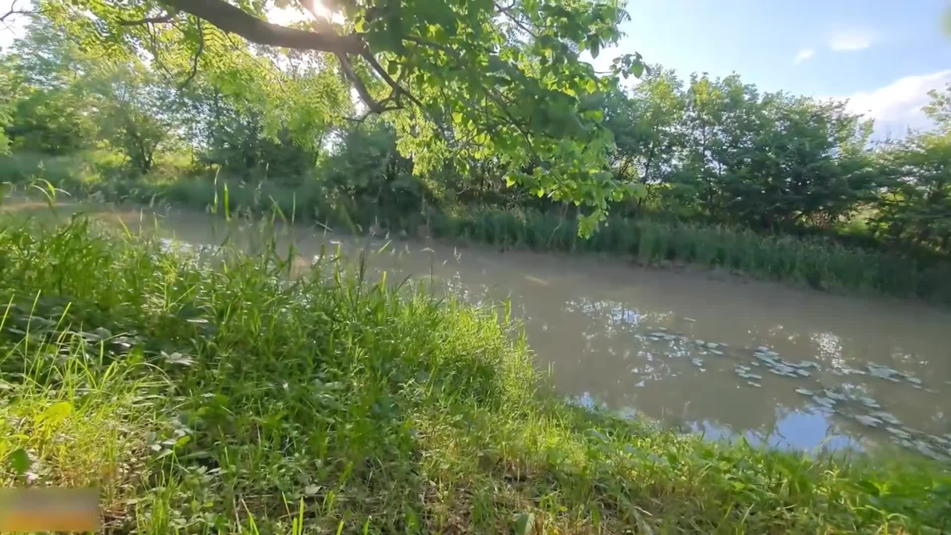 【下面有根棒棒糖】真心话大冒险，口交内射中出性感小骚货，每一次运动代表了一次呻吟，和大自然融为一体#下面有根棒棒糖 #野战 #户外吃瓜泄密