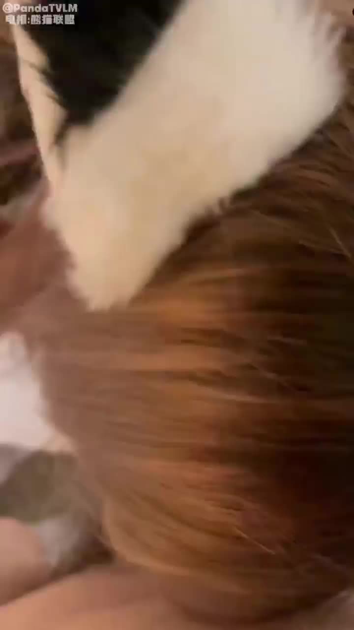 巨乳白虎萝莉 白嫩福利姬 野原乃亚baobaoOVO 私拍福利 巨乳细腰蜜桃臀#少女 #福利姬 #白虎