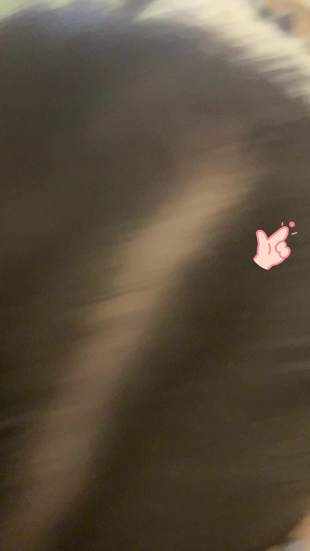 精壮小伙专约高颜美女 约了两个在附近工厂的打工少妇回公寓啪啪其中一个深喉 2