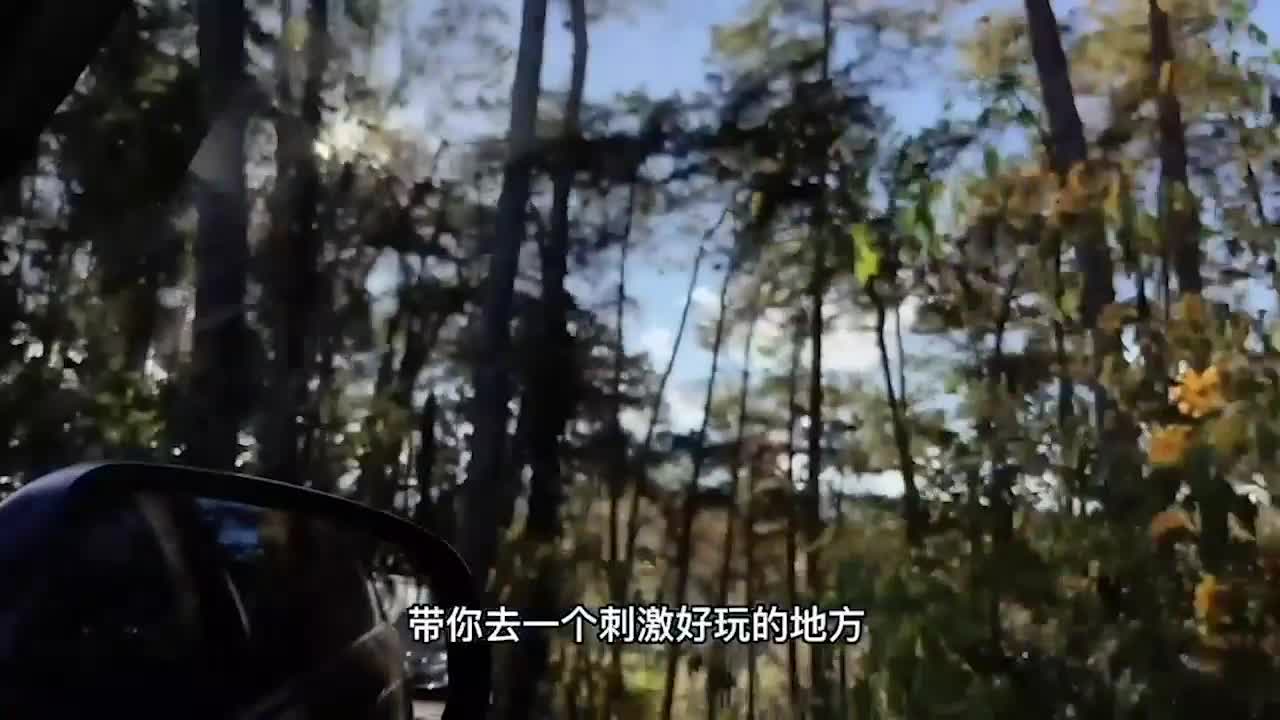 网红美女欣怡新年贺岁片 姐夫与小姨子野外车震 #内射