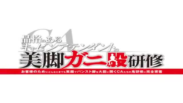 DVDES-726 空姐制服黑丝高跟培训礼仪，用震动棒给她们培训用手抠空姐的嫩逼，穿着黑丝给我口交我把空姐大腿扛起来操，舔她的小穴#空姐 #黑丝 #丝袜 #后入 #抠逼 #高跟 #屁股 #制服 #美腿