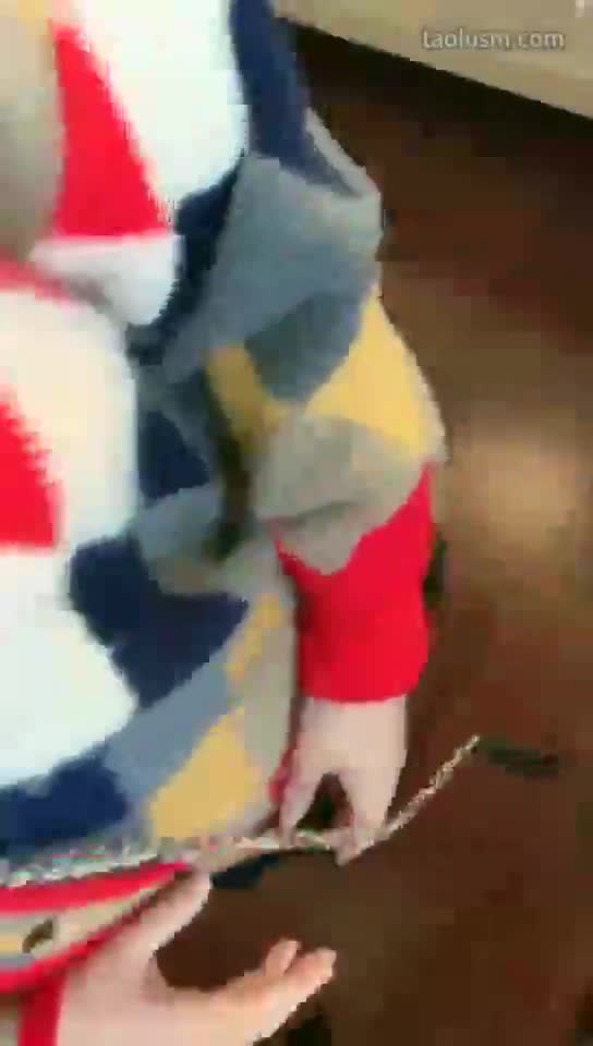 #歌迪丝 #女主天地 #直播回放母狗首吃痰 公母狗同抢一只脚