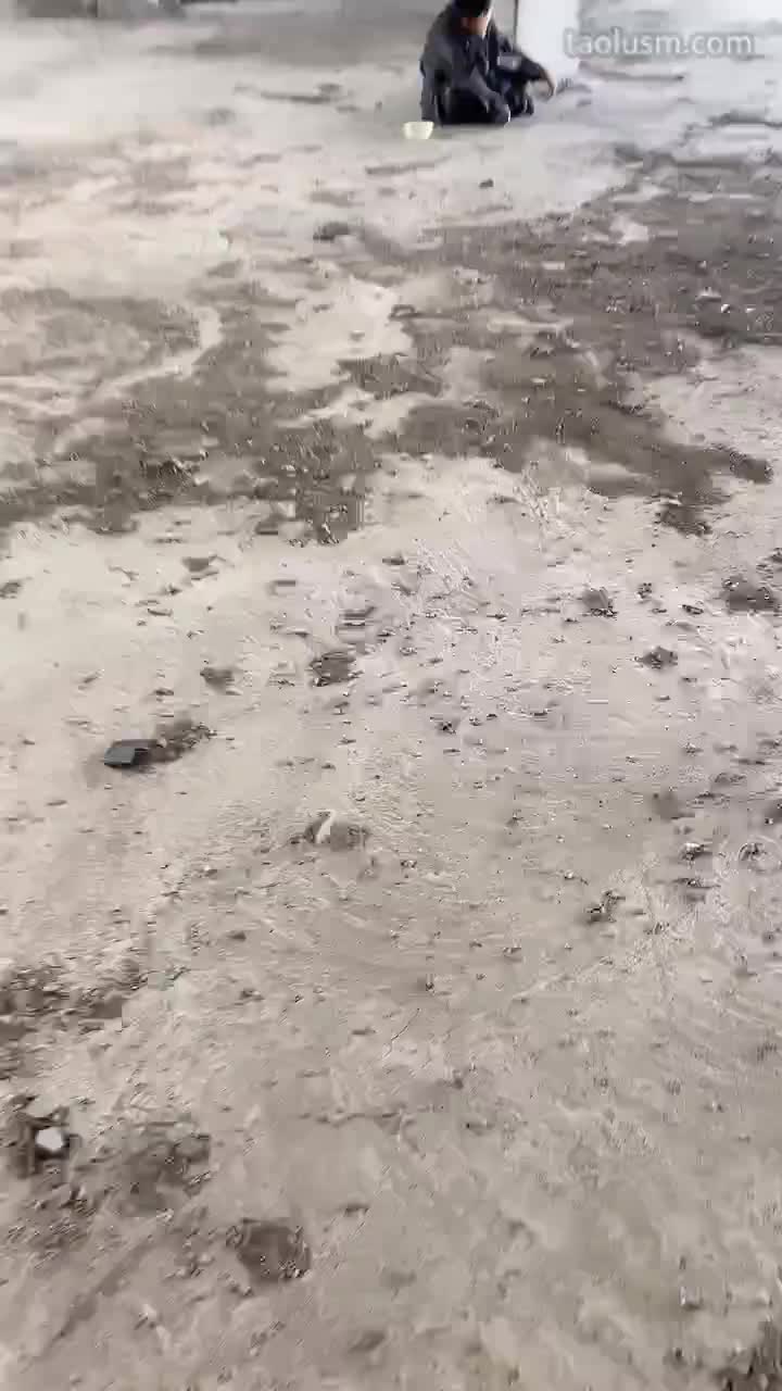 脚喂食