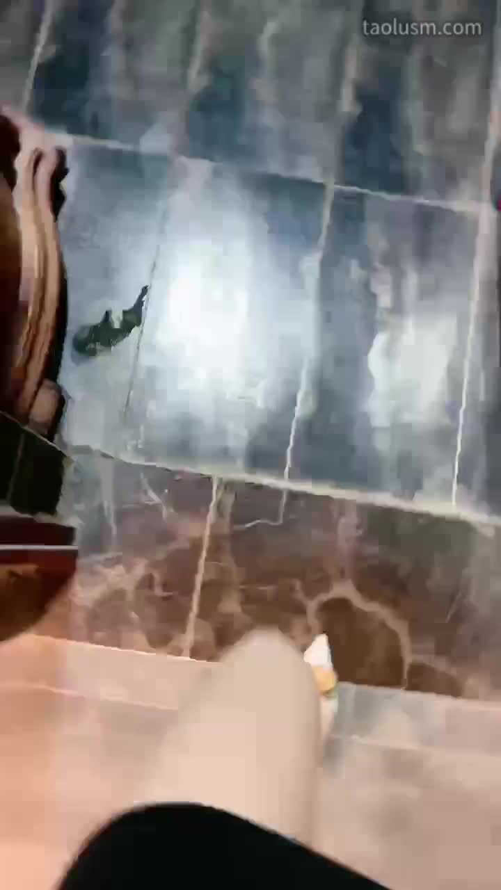 #沅芷 #女主天地 #直播回放圣水加口水