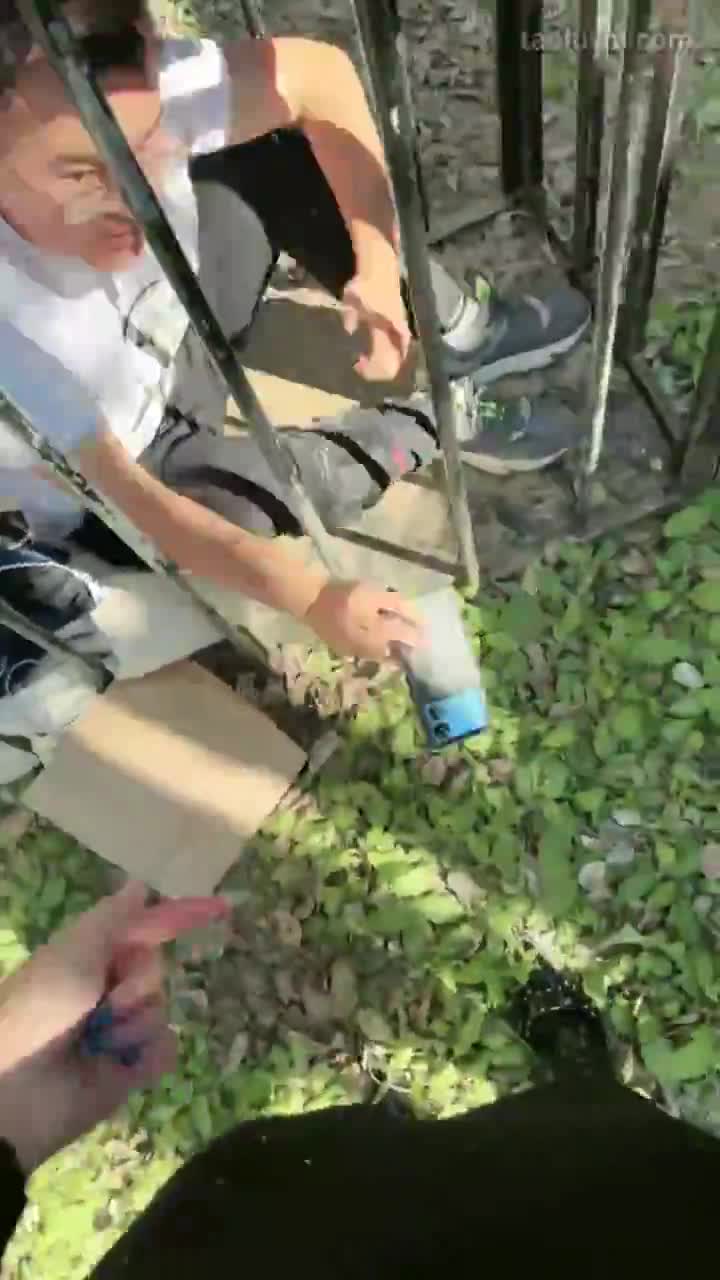 #沅芷 #女主天地 #直播回放鞭打抽哭手铐圈养狗