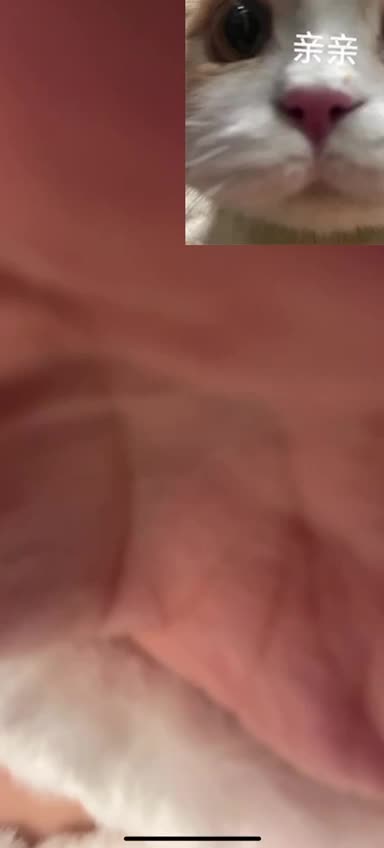 #鹤本 #巨乳 #网红 #抖音 超可爱的巨乳网红露点福利来啦！群主正在复活中！