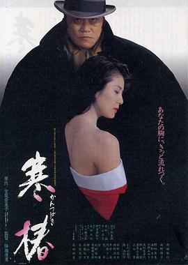 伦理片,三级片寒椿