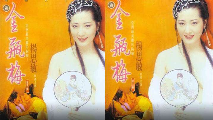 伦理片,三级片【香港】新金瓶梅 第二集(1996)