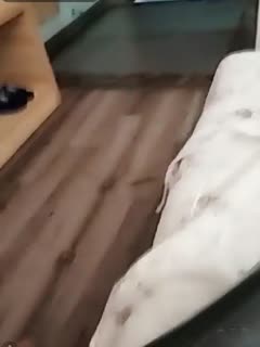 国产自拍【在线】清纯小美眉公园搭讪玩手游小哥到小旅馆啪啪直播妹子搞得人有点杂