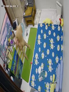 自拍,偷拍,泄密十二月最新流出黑客破解家庭摄像头偷拍❤️夫妻性爱视频合集4老夫被嫩妻趴着骑射还没有满足性欲就射被打2