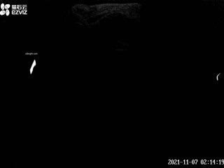 自拍,偷拍,泄密真实数对情侣偸情关系复杂男女滚床单四眼闷骚男网购情趣内衣给很能叫的女友换上玩的不亦乐乎对话刺激2