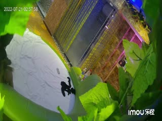 自拍,偷拍,泄密乐橙酒店精品缘叶房偷拍❤️~牛逼眼镜女骚话连连一晚干四次我最喜欢哥哥操 就是这样操~2
