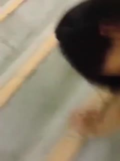国产自拍广东某高校学生情侣分手后男子把在楼梯啪啪视频曝光