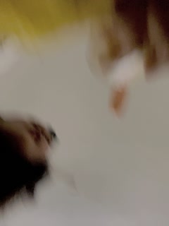 国产自拍游客19315444_20240107274_20240107257