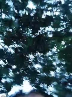 国产自拍气质良家少妇直播勾搭个像领导模样的胖大叔宾馆开房短鸡巴搞两下就射了1