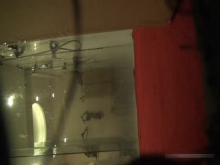 国产自拍名门夜宴系列未流出过作品身材非常棒的模特小贞拍内衣广告洗澡换衣服被暗藏摄像机偷拍1080P高清无水印.mp4