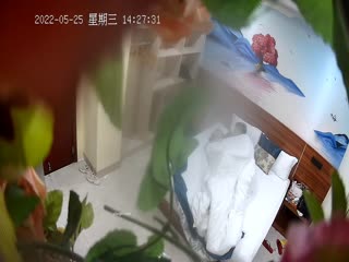 自拍,偷拍,泄密2022-5-25流出❤️前天摄像头被发现的绝版花草房偷拍贪吃的纹身哥每次扑腾几下就射了妹子还没爽一脸不悦