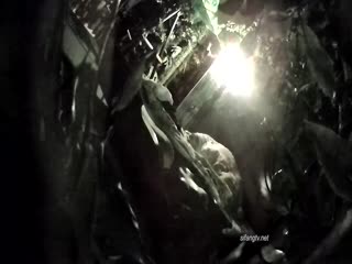 自拍,偷拍,泄密《全新360稀缺㊙️精选》热带雨林房真实欣赏数对激情男女滚床单亮点多多✅角色反转女操男四眼哥最后冲刺真牛逼给力09-12_1_1