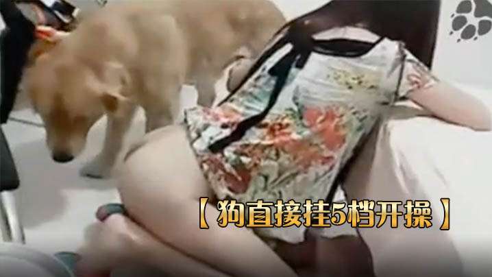 国产直播【狗直接挂5档开操】女主保持一个姿势让狗后入