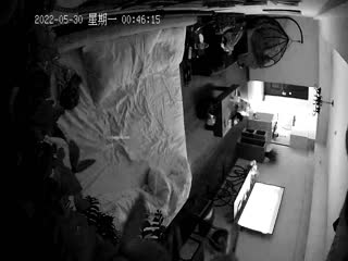 自拍,偷拍,泄密2022-5-29新流出 酒店安防摄像头偷拍文艺小青年约良家少妇对白清晰（不要祸害我）