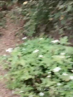 国产直播穿着睡衣到山上郊外打野战 (2)
