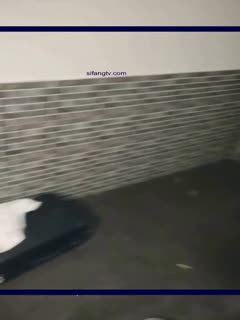 国产直播场面过于淫乱 3个刚成年的小美女和一群小鲜肉群P