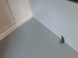 自拍,偷拍,泄密大神最新厕拍蹬点守候一位热裤大白腿学生妹 就是BB有点黑 这么清纯也操多了
