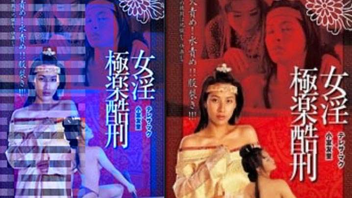 伦理片,三级片【香港】极乐酷刑(2000)